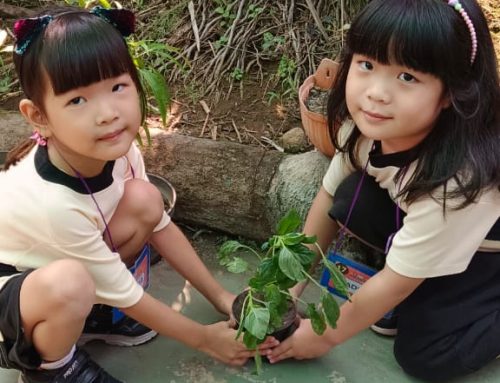 Play And Learn Together